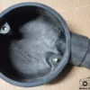 46534152 7702470 Throttle Body Air Intake Cover Fiat Panda Cinquecento Seicento 900 View Front
