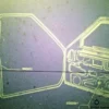 5965572 7586211 Front Side Door Rubber Fiat Ritmo Strada MK2 MK3 5 Doors View Rear