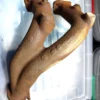 60521084 Exhaust Manifold Collettore Scarico Alfa Romeo 75 90 Giulietta Alfetta View Rear