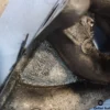 7597360 7697591 Fiat Fire Engine Intake Manifold Panda 750 View Front