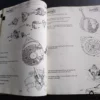 Renault 14 R1210 Workshop Manual MR183 View Front