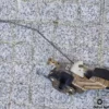 90449019 Front Left Door Lock Opel Astra F