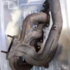 46423466 46419359 Exhaust Manifold Fiat Coupe 20V Turbo VT Kappa Thesis Marea