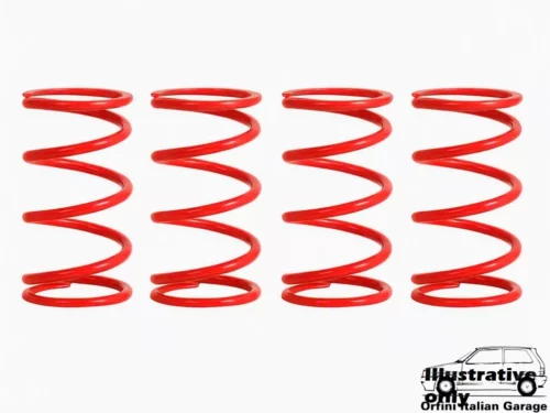 Kit Suspension Springs Fiat Punto Trophy Racing FEUP