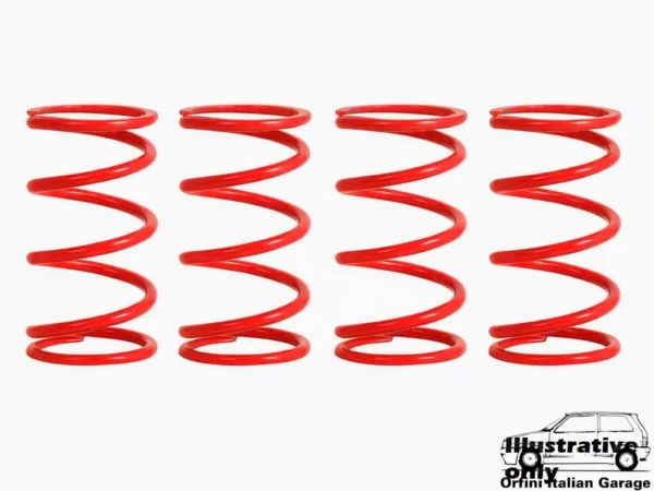 Kit Suspension Springs Fiat Punto Trophy Racing FEUP